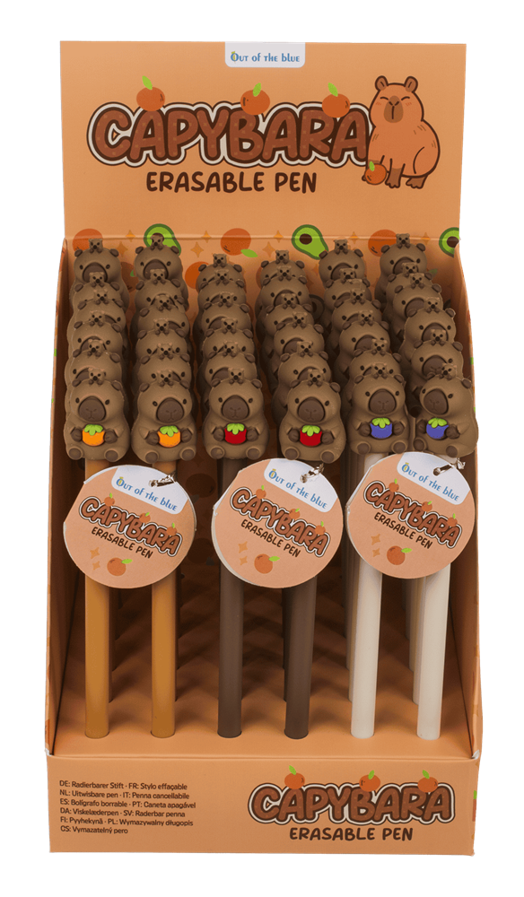 Dsp erasable pen, capybara. 3 ass. 36