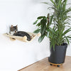 Trixie Hammock para el beige de la pared