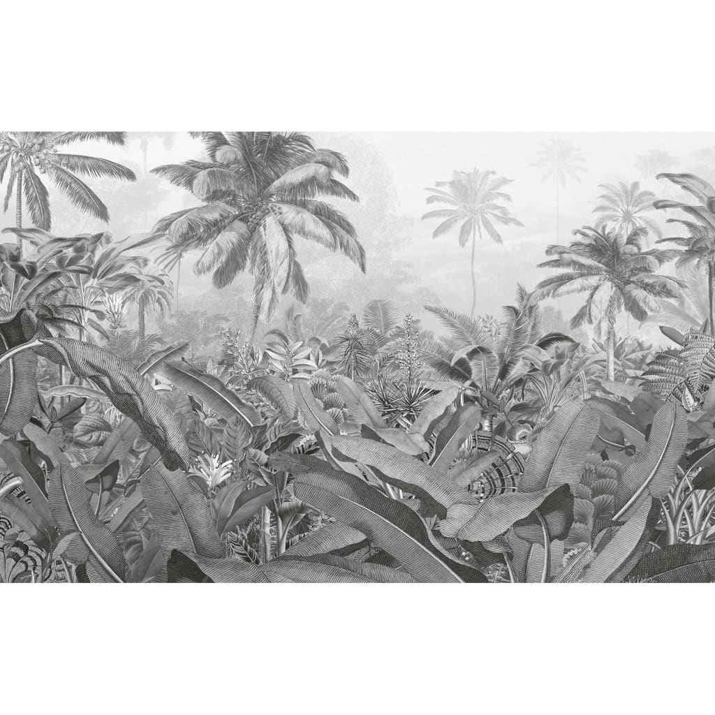 Komar Komar Fotobehang Amazonia Black and White 400x250 cm