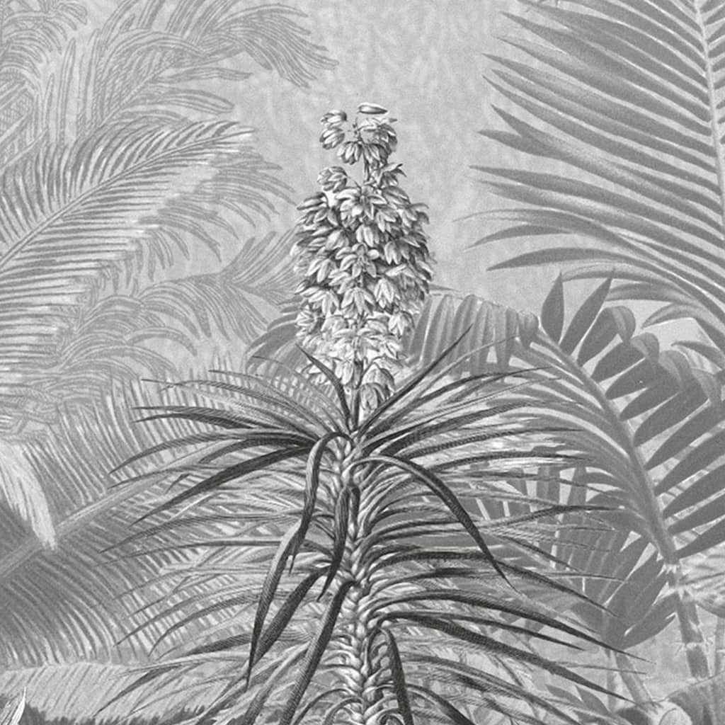 Komar Komar Fotobehang Amazonia Black and White 400x250 cm