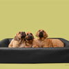 Bia Bed Hondmand Original Square Black