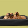 Bia bed Hondenmand original square zwart