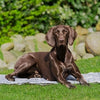 Trixie cool tappetino morbido grigio