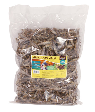 Utopia Cane da cane pesce secco
