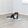Tappeto refrigerante Trixie bone azzurro
