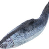 Trixie Spartel Fish con Catnip in tessuto