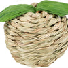 Trixie speelbal appel gras maisblad