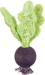 Trixie speelbal set biet aardbei hout loofah - afbeelding 2