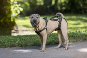 Solvit petsafe carelift voor en achter - afbeelding 4