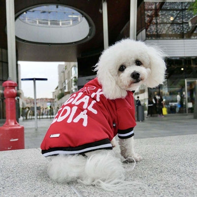 Croci Dog Jacket Social Media Red