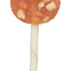 Trixie Denta fun chicken cheese lolly