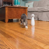 Petsafe bolt