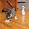 Petsafe bolt