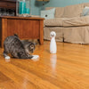 Petsafe bolt