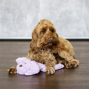 Aromadog calm laying down dog - afbeelding 3