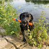Chuckit ultra fetch stick