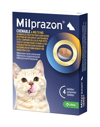 Krka Milpazon masticando tabletas wormingstablets gato