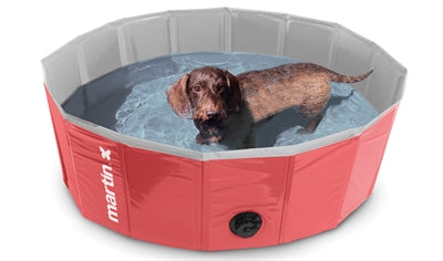 Martin Dog Pool Rojo