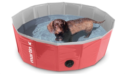 Martin Dog Pool Rosso
