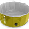 Martin Dog Pool Giallo