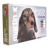 Martin Dog Pool Giallo