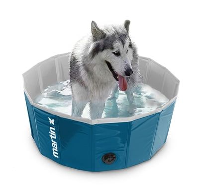 Martin Dog Pool Giallo