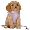 Trixie Dog eigen junior cucciolo softhuik con Riem lila