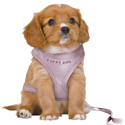 Trixie Dog Eigen Junior Puppy Softhuik con Riem Lila
