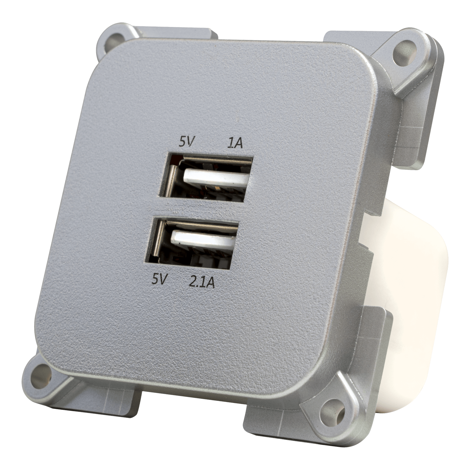 Presa da muro C-line con doppio caricatore USB-A argento