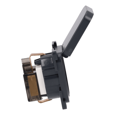 Toma de pared C-line 230v con tapa abatible antracita - sin embalaje de venta