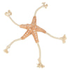 Trixie Be Nordic Zeester Jane Plush Rope Beige