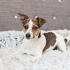 Trixie sofá cama harvey muebles protector angular blanco negro