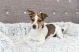 Trixie Sofa bed harvey meubelbeschermer hoekig wit zwart - afbeelding 3
