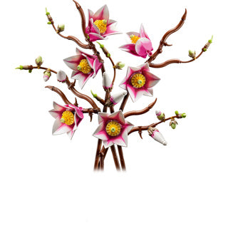 Lego Botanicals 11510 rami di magnolia