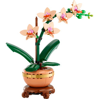 LEGO LEGO BOTANICI 10343 MINIORCHID