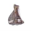 Petsnack p essere foglia di spalla