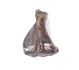 Petsnack p essere foglia di spalla - afbeelding 3