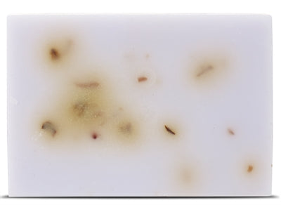 Amado bar de champú de mascotas tranquila