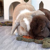 Naturals Naturals carrot 'n' forage bunny