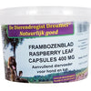 Dierendrogist Frambozenblad capsules