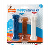 Nylabone Cuppy Mastiching Cuppy Starter Kit Chicken