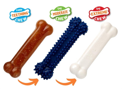 Nylabone Cuppy Mastiching Cuppy Starter Kit Chicken