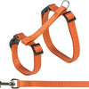 TRIXIE CAT ACHARCH CON CORRETIS