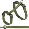 TRIXIE CAT ACHARCH CON CORRETIS
