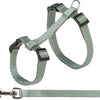 TRIXIE CAT ACHARCH CON CORRETIS