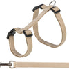 Trixie Cat Effarch con Belt Assorti