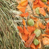 Trixie Haypendel Peas Root da appendere