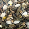 Utopia Strooivoer met insecten