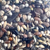 Utopía Goudvinken Mix