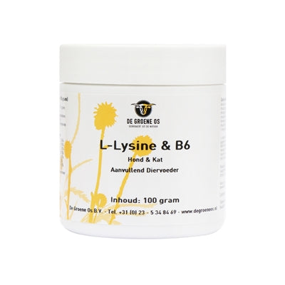 Il gatto per cani Green OS L-Lysine B6